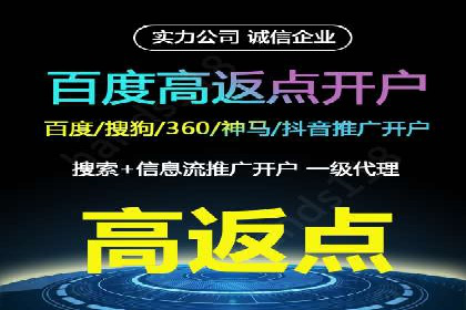 SEM公司案例分析：搜索引擎优化策略与执行