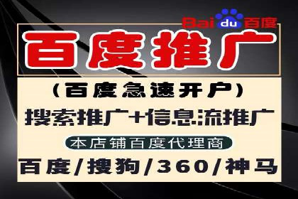 某某sem推广公司成功案例：如何快速提升品牌知名度